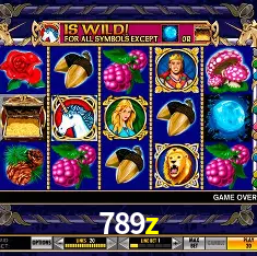 Descubra a Magia dos Jogos de Arcade no 789z
